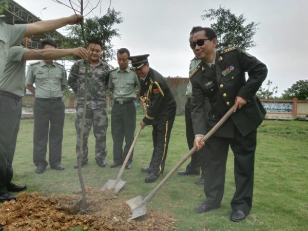 史光柱与毛羽亮同在英雄树
