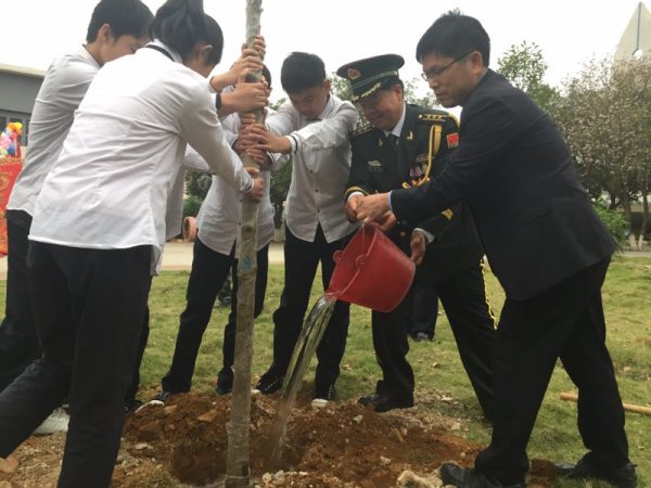 给小树浇点水